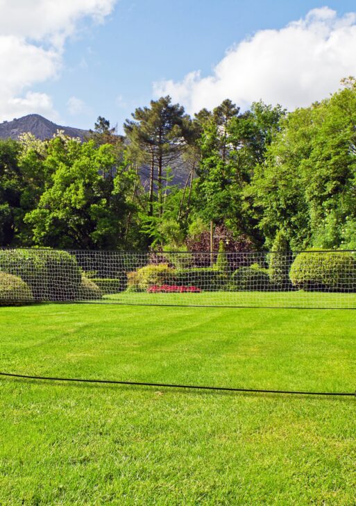 All-in-1 Badminton Set, Height Adjustable for Pickleball, Volleyball, Badminton, Backyard, Beach, Driveway Game