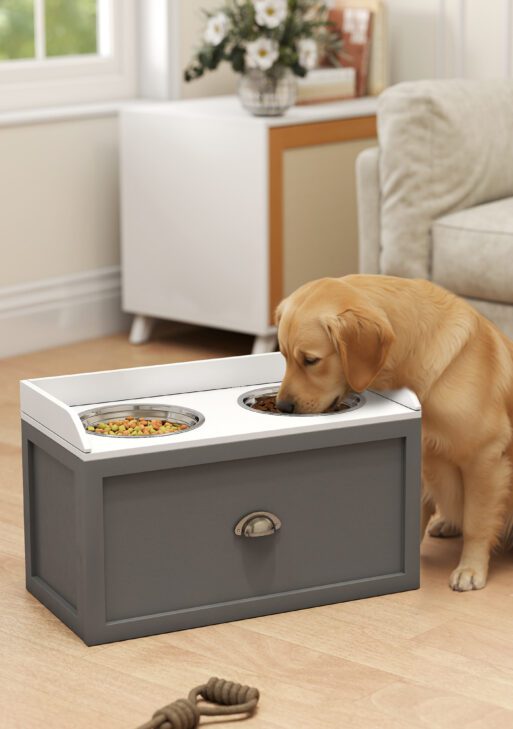 Pet Feeding Station Pet Dish Bowl Set with Storage, 2 Elevated Dog Bowls for Large Sized Dogs, Gray