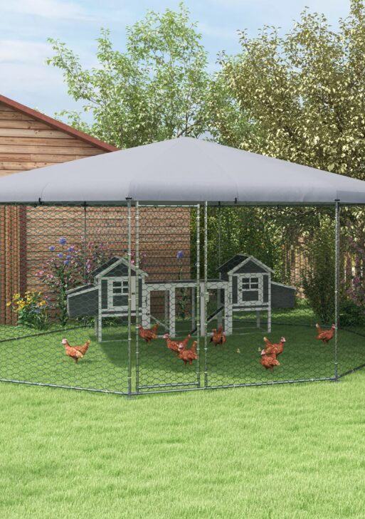 17.1 ft x 15.7 ft Chicken Run for 19-25 Chickens with Cover