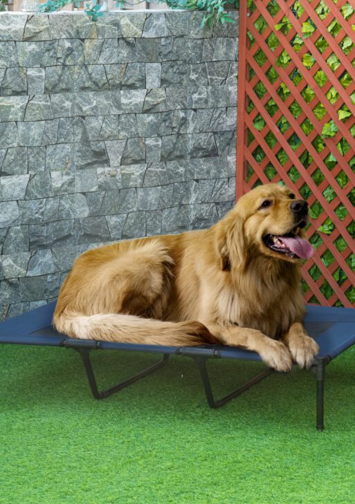 48" x 36" Elevated Breathable Dog Bed w/ Carry Bag Dark Blue