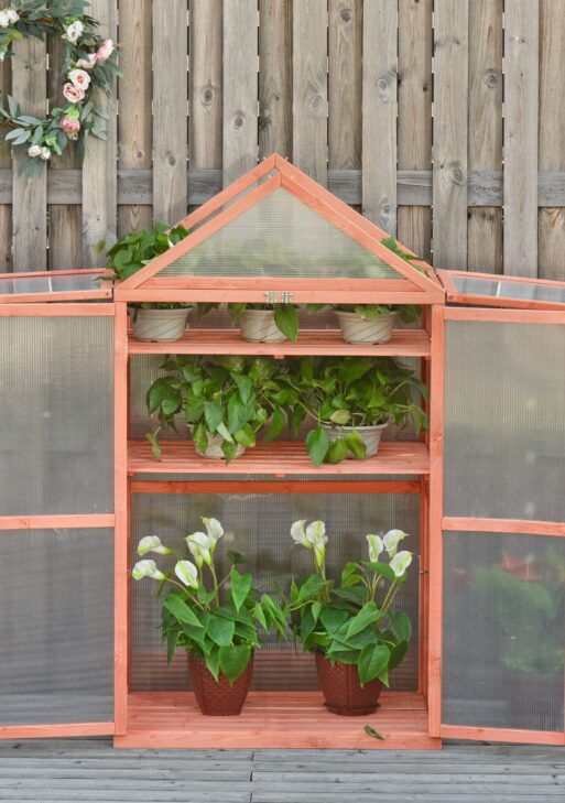 32" x 19" x 54" Garden Wood Cold Frame Greenhouse Flower Planter with Adjustable Shelves, Double Doors, Orange