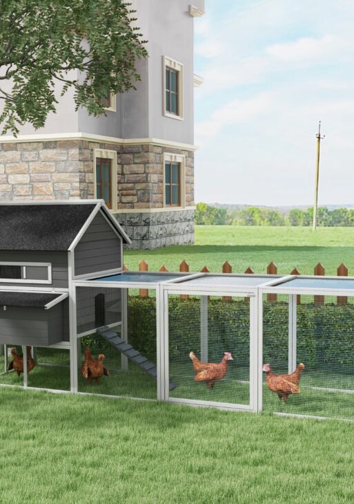 137" Wooden Chicken Coop for 8-10 Chickens, Backyard, Gray