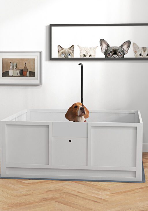 Whelping Box for Puppies with Pee Pad, Pig Rail, Adjustable Door for Small, Medium & Large Breed Dogs Birth, 49" x 48"