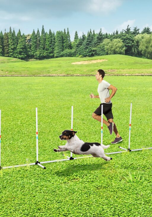 Sturdy Dog Weaves Poles Pet Speed and Agility Equipment Dogs Obstacle Outdoor w/ Storage Bag