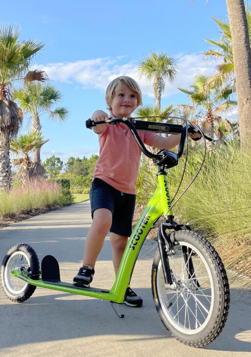 Youth Scooter Kick Scooter for Kids 5+ with Adjustable Handlebar 16" Front and 12" Rear Dual Brakes Inflatable Wheels, Green