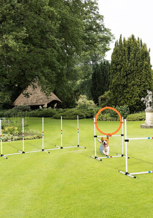 3PC Dog Agility Equipment Set, Obstacle Course Exercise for Dog Include Adjustable Hurdle, Hoop, Weave Poles and Carry Bag