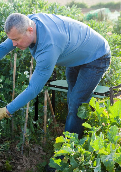 Padded Garden Kneeler and Seat Bench, Padded Foldable Garden Stool, Green