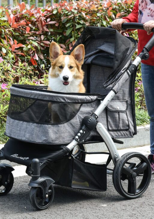 Pet Stroller Foldable Dog Cat Travel Carriage with Adjustable Handlebar PVC Wheel Brake Storage Bag Mesh Window Safety Leash Aluminum Grey