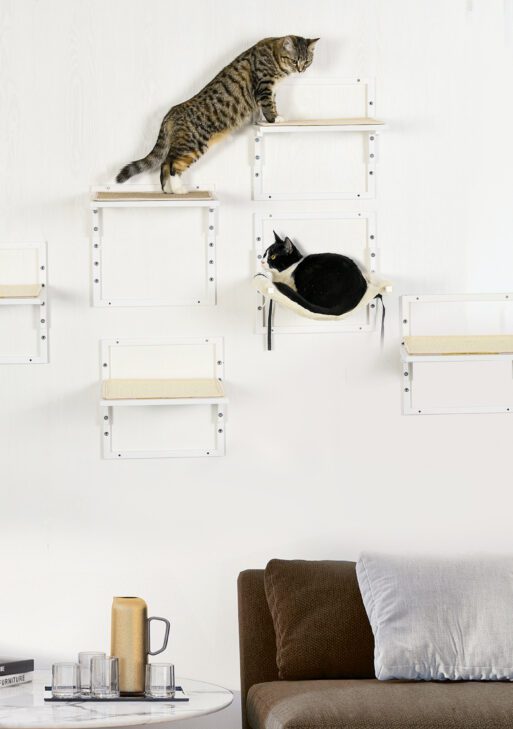 Cat Shelves for Indoor Cats, 6Pc Modern Cat Wall Furniture with Adjustable Height Jumping Platforms & Hammock, Cream White
