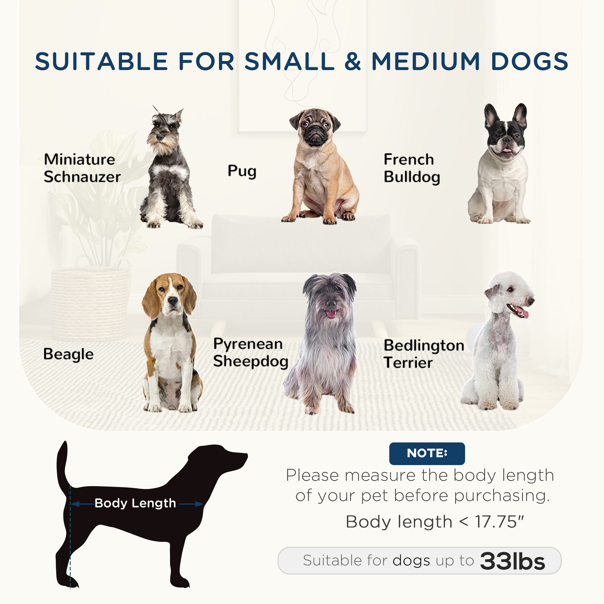 Raised Dog Sofa, Elevated Pet Sofa for Small and Medium Dogs with Removable Seat and Back Cushions, Anti-Slip Pads, Gray - Image 2