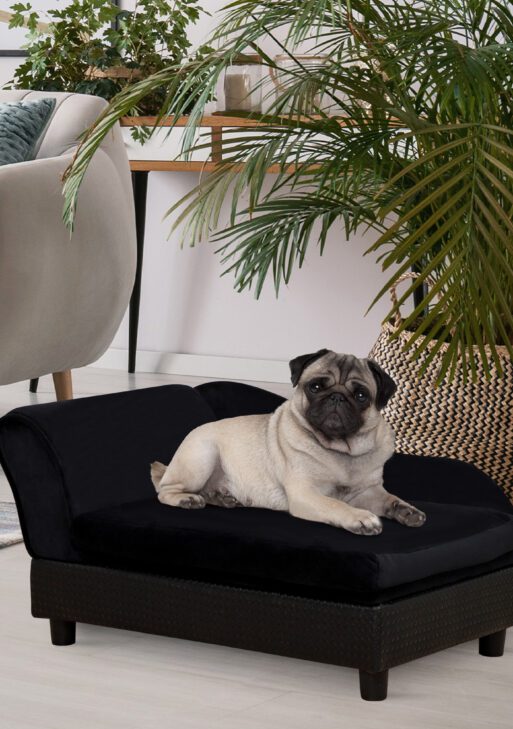 Pet Sofa Bed Couch with Storage, Pet Sofa for Cats and Small Dogs, Black