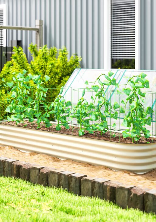 7.9' x 2' x 1' Galvanized Raised Garden Bed Kit, Metal Planter Box with Safety Edging, Cream