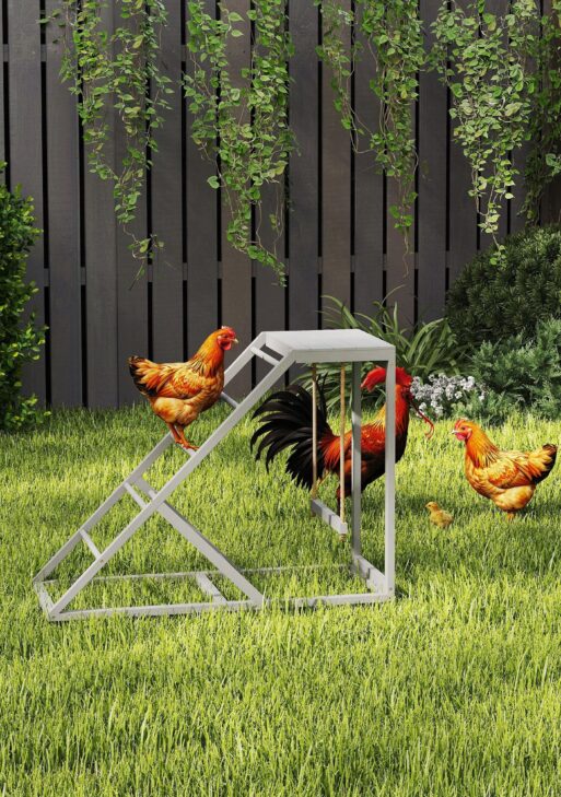 Chicken Activity Play for Healthy & Happy Animals, Swing Set with Chicken Perches & Hen Ladder, Chicken Coop Toy, Gray
