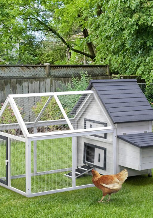 65" Chicken Coop Wooden Chicken House Rabbit Hutch Poultry Cage Hen Pen Backyard with Nesting Box, Ramp, Run