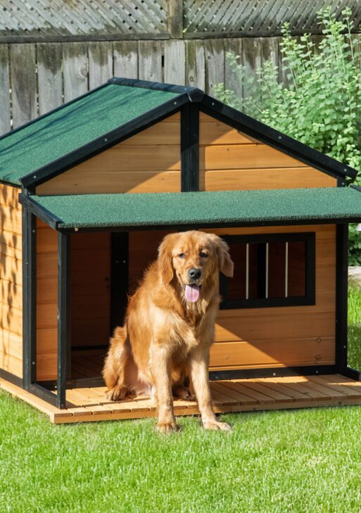 Outdoor Dog House Cabin Style, Wooden Raised Pet Kennel with Asphalt Roof, Front Door, Side Window, Porch for Medium and Large Dogs, Gray