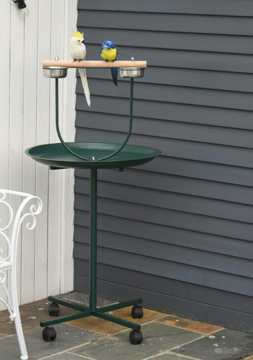 48" Rolling T-Stand Bird Training Activity Playground With Perch