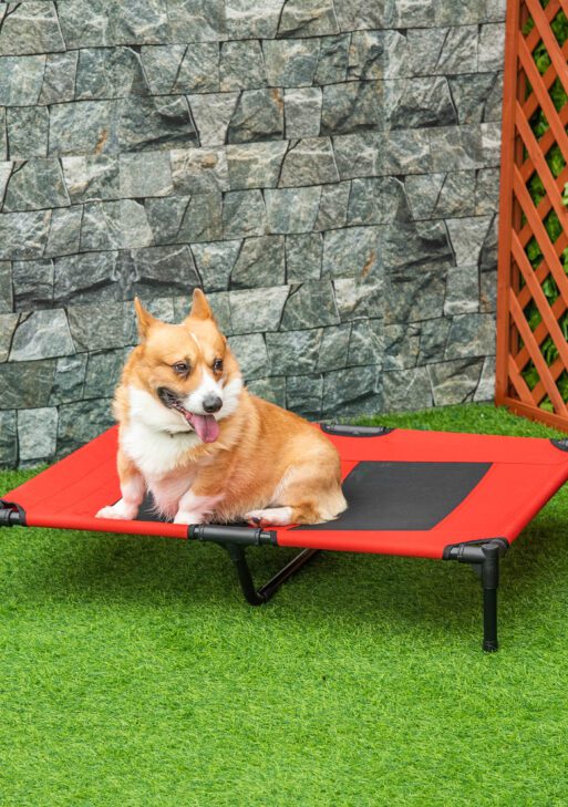36" x 30" Elevated Cooling Summer Dog Cot Pet Bed With Mesh Ventilation - Red