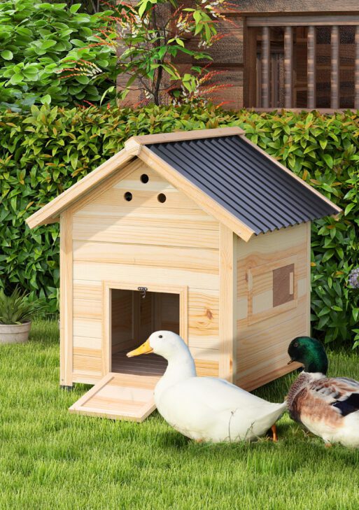 Duck Coop, Wooden Duck House with Openable Roof & Double Doors, Natural Wood