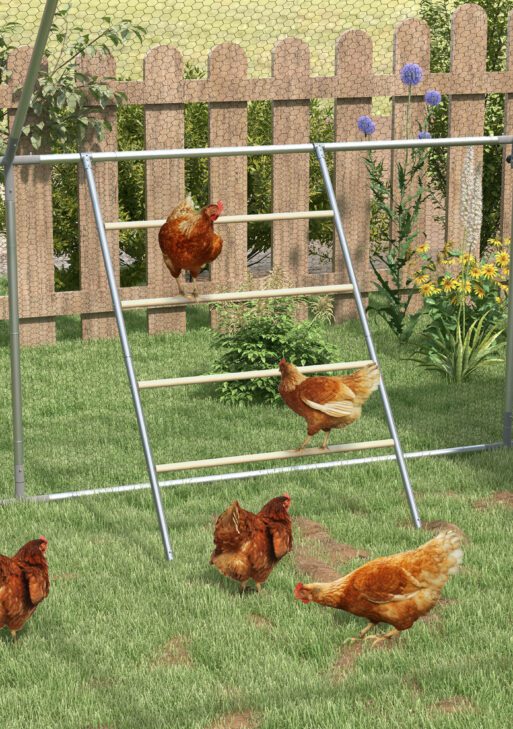 Chicken Roost for Coop, Jungle Gym Roosting Bar, 55" x 33.75"
