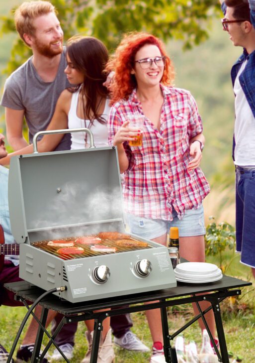 2 Burner Folding Tabletop Gas BBQ Grill w/ Lid, Thermometer, Carbon Steel, Gray