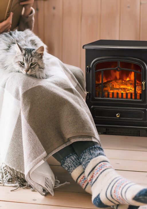 Fireplace Stove, Electric Fireplace Heater with Realistic LED Flames and Logs, 725W/1450W, Black