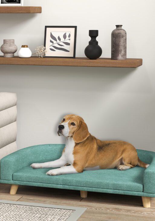 Dog Sofa Couch Bed with Washable Cushion for Large Dogs, Cats, Green