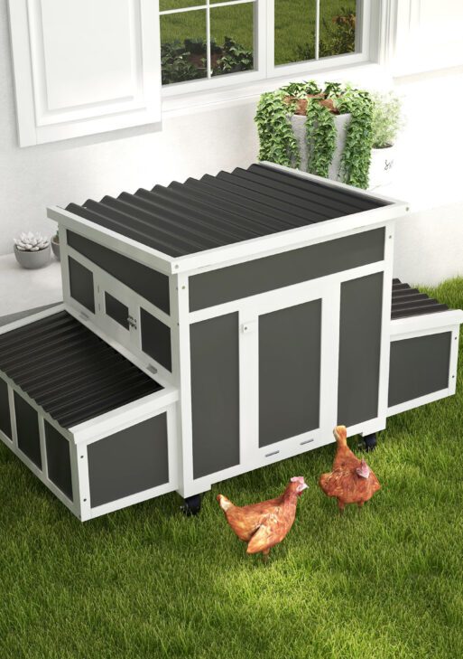 Wooden Chicken Coop with Nesting Box for 6 Chickens, Dark Gray