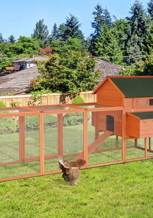 136.5" Chicken Coop Wooden Large Chicken House Deluxe Rabbit Hutch Lockable Poultry Hen Cage Backyard with Nesting Box and Run