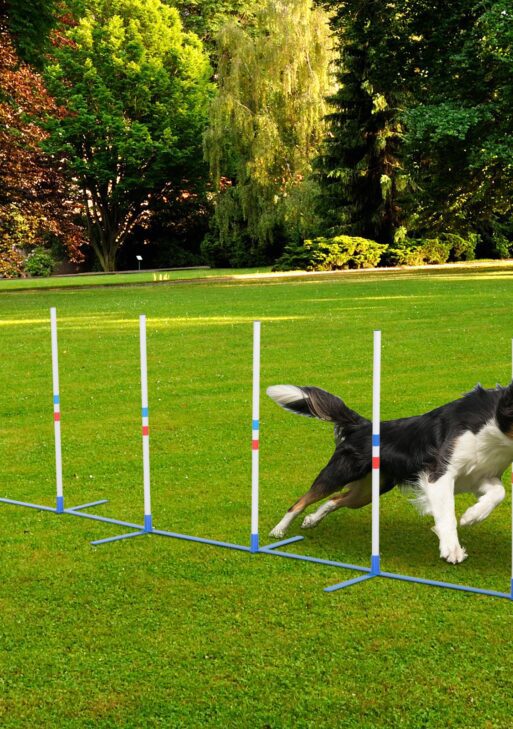 Dog Agility Equipment Dog Weave Pole Set Agility Starter Kit Pet Outdoor Exercise Training Set