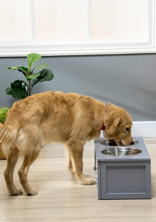 Elevated Dog Bowls with Storage, 2 Stainless Steel Bowls for Medium Dogs, Gray