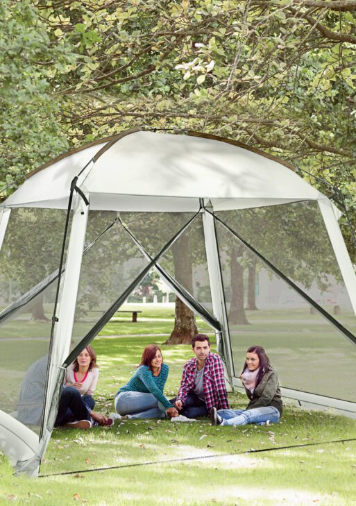 10' x 10' Screen House Room, UV50+ Screen Tent with 2 Doors and Carry Bag, Easy Setup, for Patios Outdoor Camping Activities