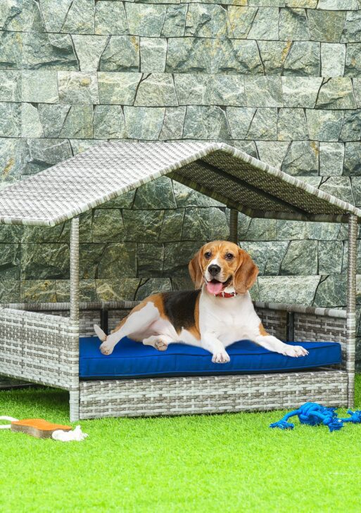 Pet House Wicker, for Indoor/Outdoor Rattan Furniture, with Water-Resistant and Removable Cushions, Elevated Bottom, Dark Blue