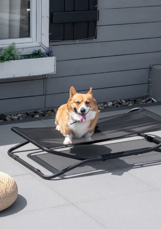 Elevated Dog Bed with Breathable Fabric, Foldable Pet Cot with Heavy Duty Steel Frame, Portable Cooling Pet Bed Indoor Outdoor Use, for Small Medium Dogs