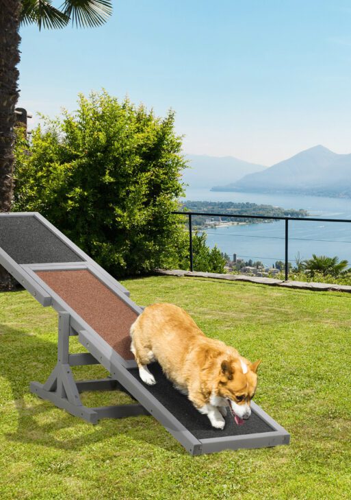 Wooden Dog Agility Seesaw for Training and Exercise, Gray