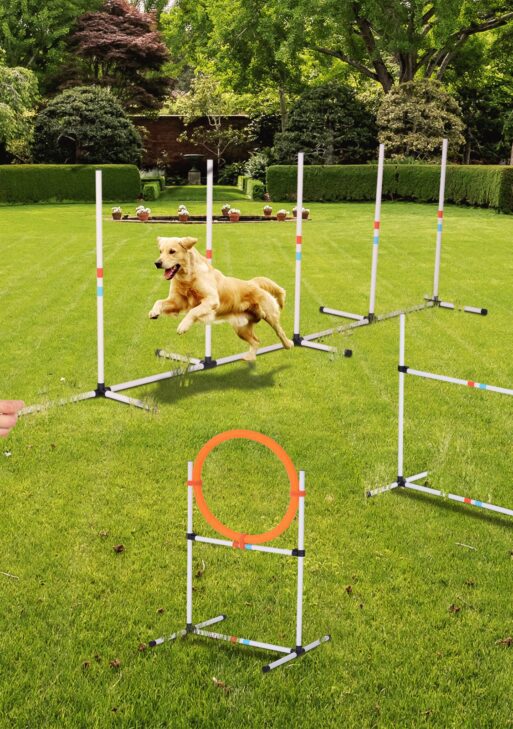 Portable Pet Agility Pet Training Set Dog Obstacle Exercise Adjustable Jump Ring High Jumper w/ Carry Bag