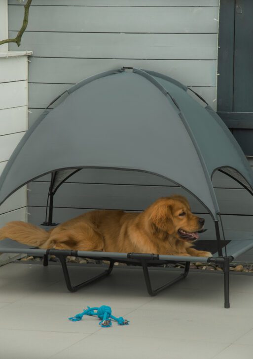48" x 36" Elevated Portable Dog Cot Cooling Pet Bed with UV Protection Canopy Shade