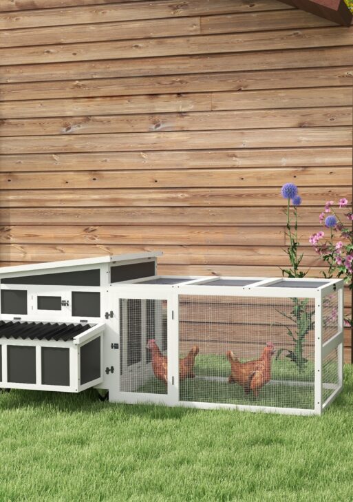 Wooden Chicken Coop with Nesting Box, Pull Out Tray, Run, Perches, Ramp, Windows for 6 Chickens, Dark Gray