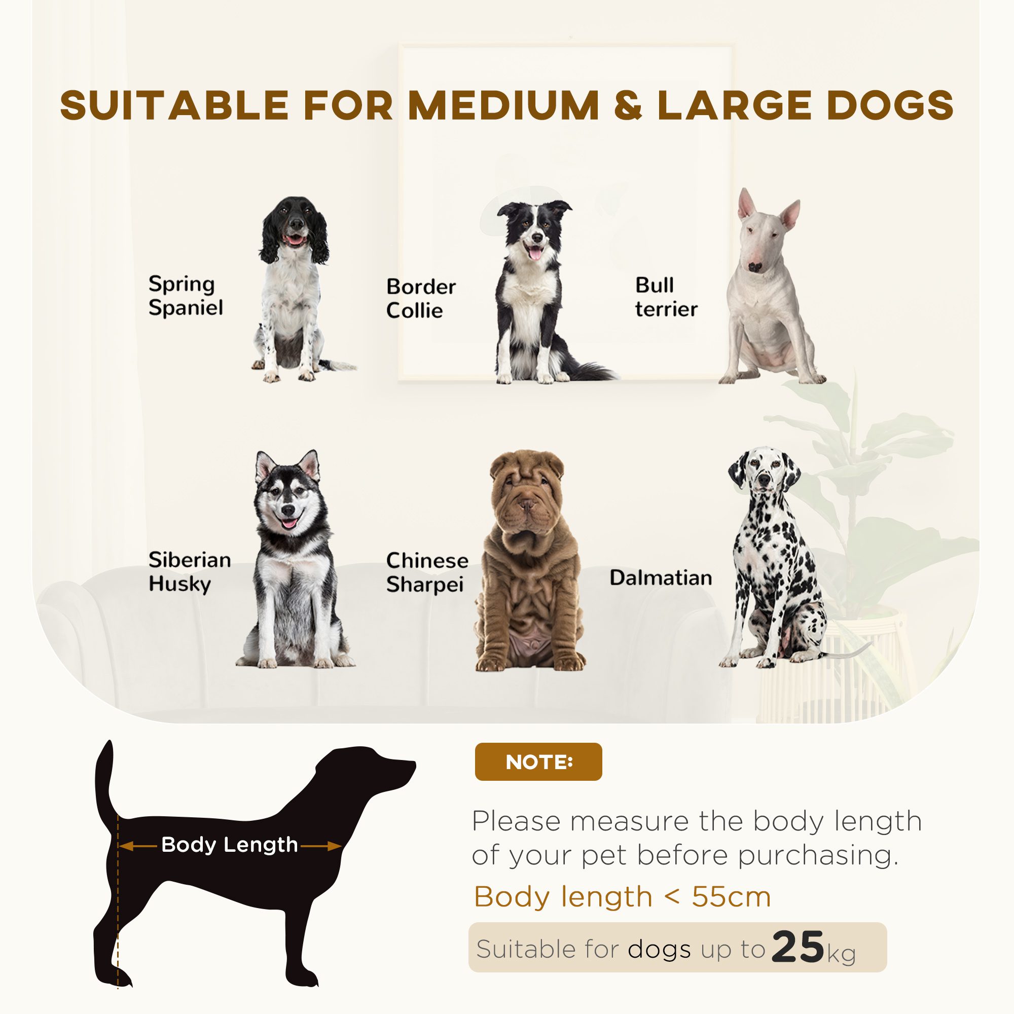 Pearl Design Pet Sofa for Medium and Large Sized Dogs, Pet Bed with Cushion and Solid Wood Legs, Charcoal Gray - Image 2
