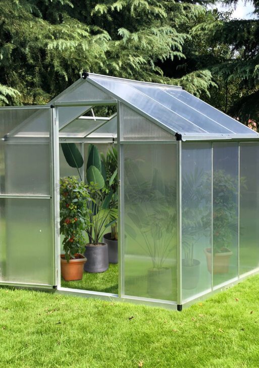 6' L x 6' W Walk-In Polycarbonate Greenhouse with Roof Vent for Ventilation & Rain Gutter for Winter