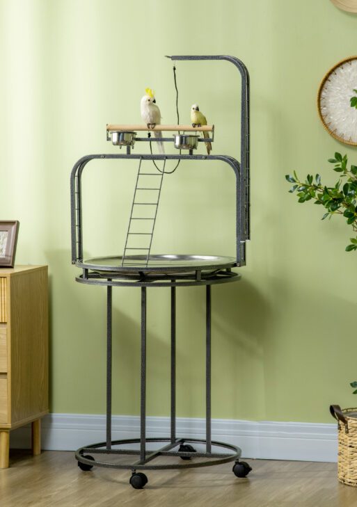 Parrot Stand Large Bird Perch Stand with Toy Hook & 3 Ladders, Parrot Perch, Bird Wooden Stand, Gray