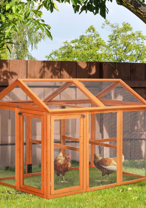 Wooden Chicken Run, Combinable Design with Perches, 4.6' x 2.8', Orange