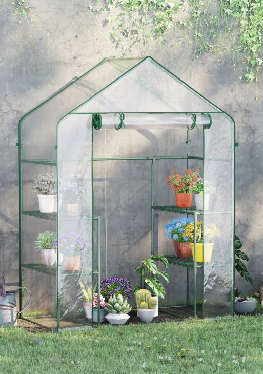 5' x 2.5' x 6.5' Mini Walk-in Greenhouse Kit, Portable Green House with 3 Tier Shelves, Roll-Up Door, and Weatherized Plastic Cover for Backyard Garden, Clear
