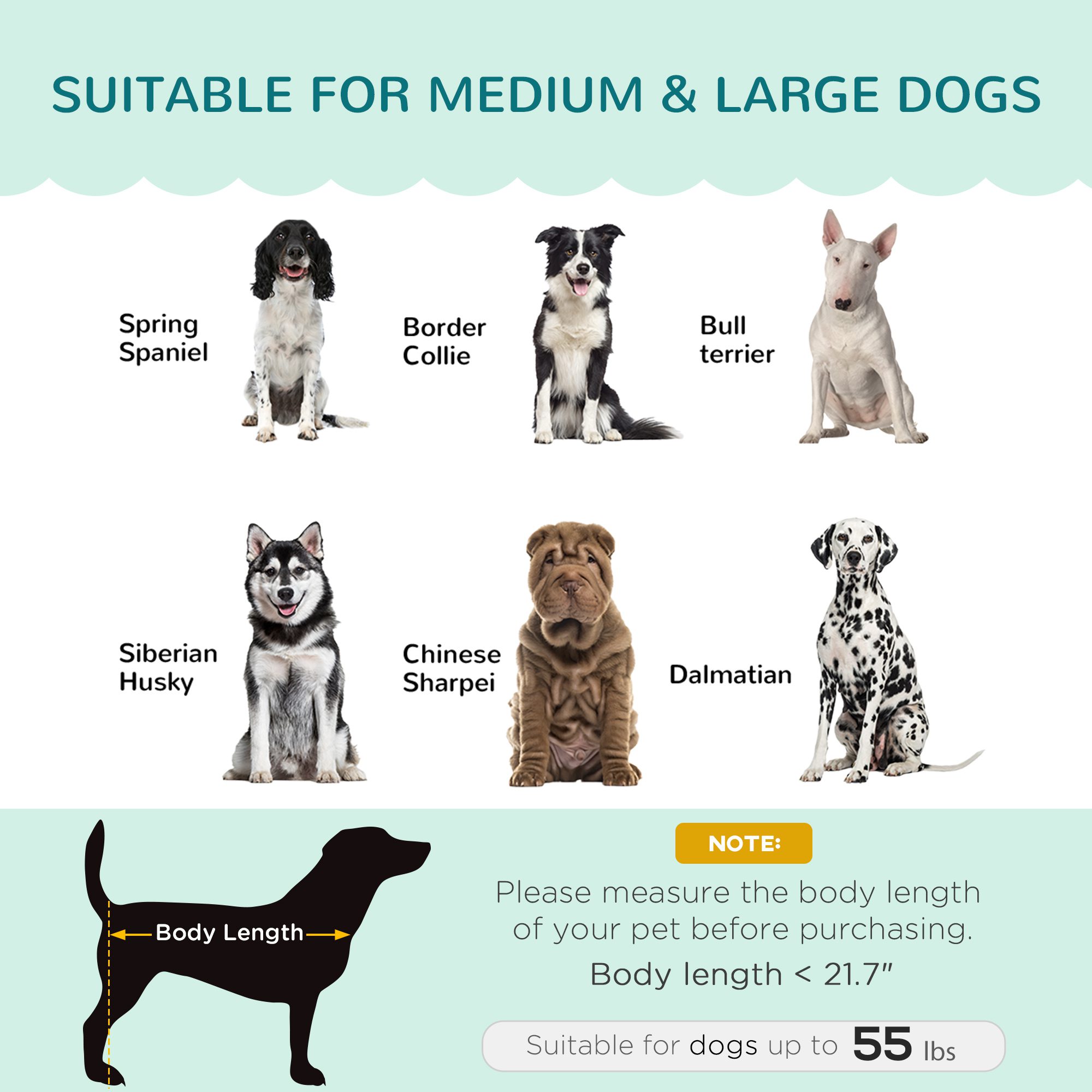 Pearl Design Pet Sofa for Medium and Large Sized Dogs, Pet Bed with Cushion and Solid Wood Legs, Green - Image 2