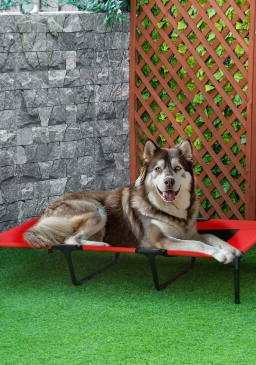 XL Elevated Dog Bed, Outdoor Raised Dog Bed, Portable Pet Cot w/Carry Bag Metal Frame Breathable Mesh Indoor and Outdoor Red