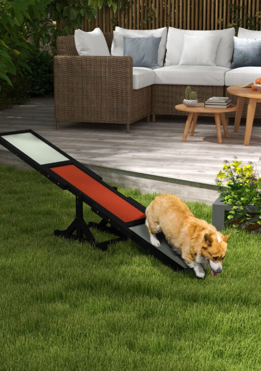 Wooden Dog Agility Seesaw for Training and Exercise, Black