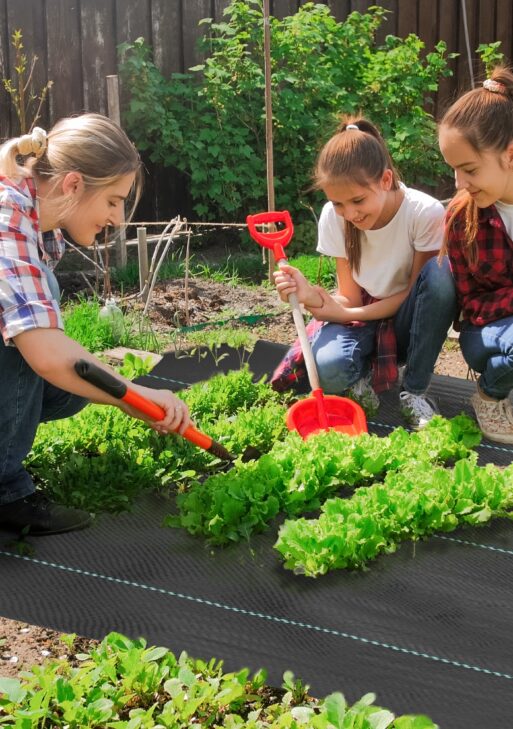 6FT x 300FT Weed Barrier Landscape Fabric, 5oz Heavy Duty Woven Weed Control Fabric for Landscaping