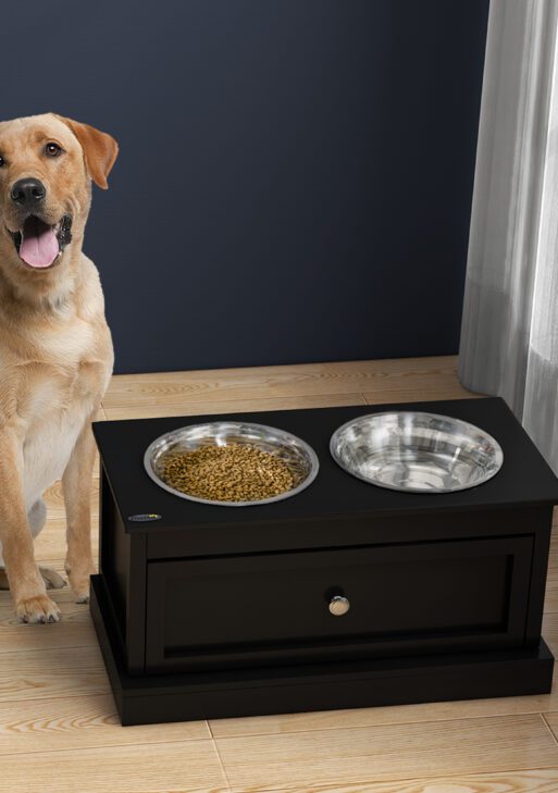 Elevated Dog Bowls with Storage Drawer, Raised Dog Bowl Stand Pet Food Bowl Dog Feeding Station, Black