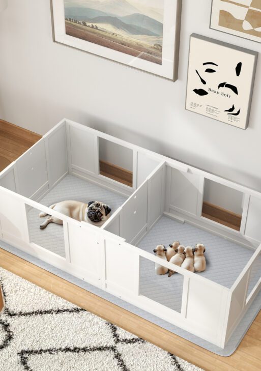 Double Room Design Whelping Box for Dogs with Whelping Pad, Clear Panels, Adjustable Entrance, for Small Dogs