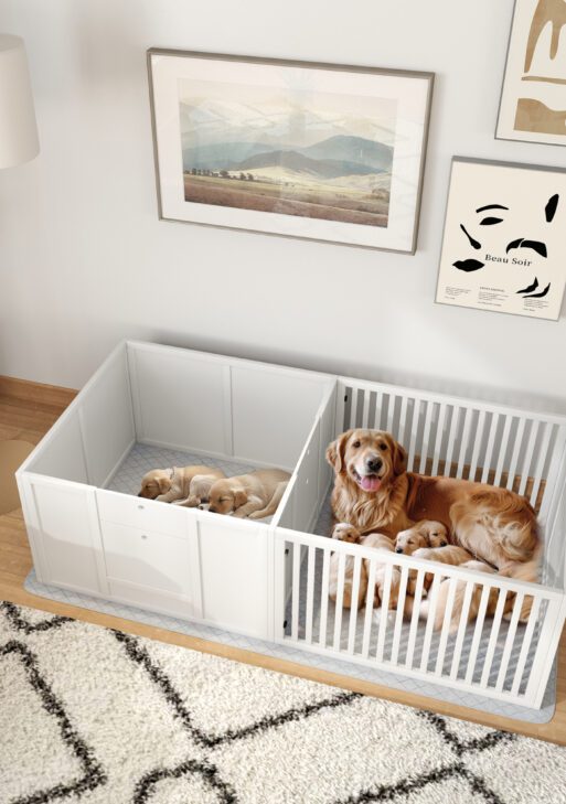 Dog Whelping Box w/ Waterproof Pee Pad & Adjustable Door for Small, Medium & Large Breed Dogs, 65" x 31.5"