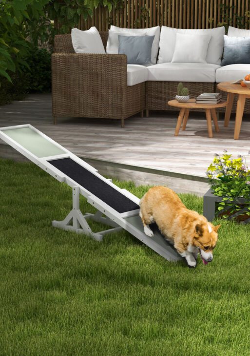 Wooden Dog Agility Seesaw for Training and Exercise, White